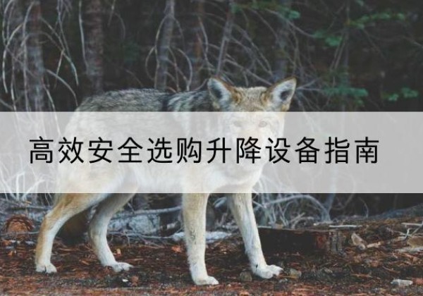 宿迁升降货梯厂家推荐-*安全选购升降设备指南
