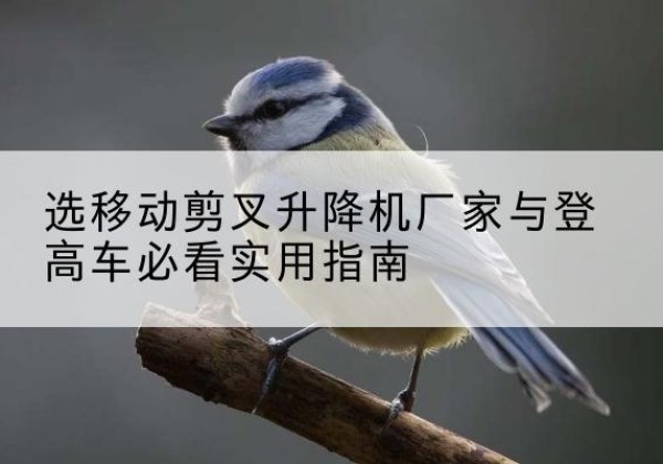 宿迁电动升降机厂家-选移动剪叉升降机厂家与登高车必看实用指南