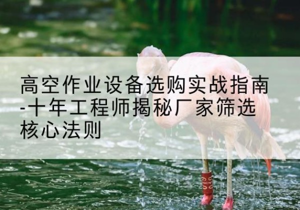 宿迁剪叉式升降机厂家-高空作业设备选购实战指南-十年工程师揭秘厂家筛选核心法则